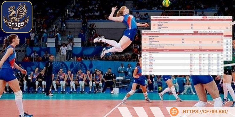 Cá cược bóng chuyền- hình thức giải trí hấp dẫn