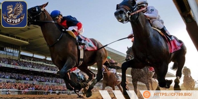 Người chơi cần hiểu rõ các loại cá cược đua ngựa trước khi tham gia