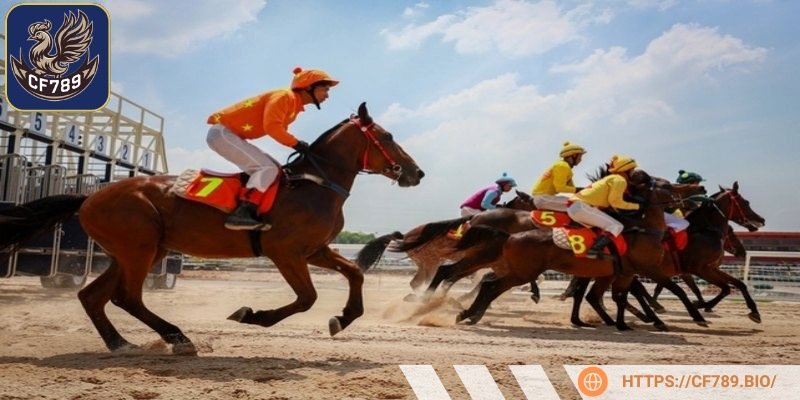 Cơ hội để bạn thử thách bản thân để kiếm lời