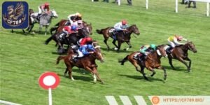 Quản lý vốn cược thật tốt để tránh rủi ro mất tiền