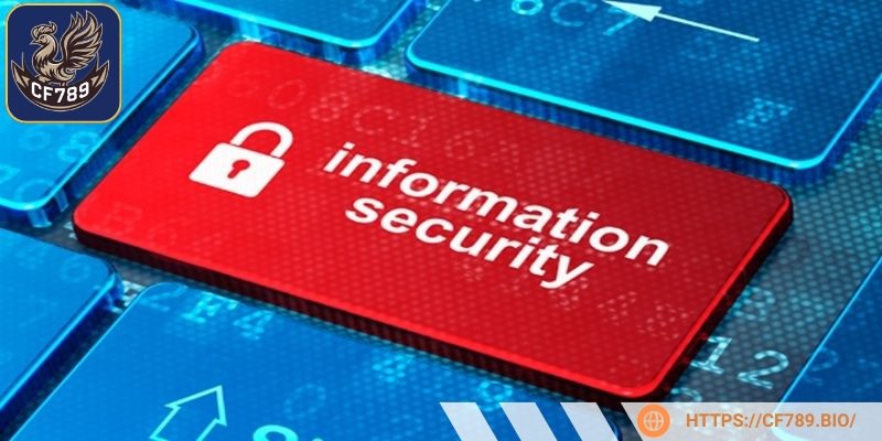 Tầm quan trọng của chính sách về bảo mật trong thời đại số