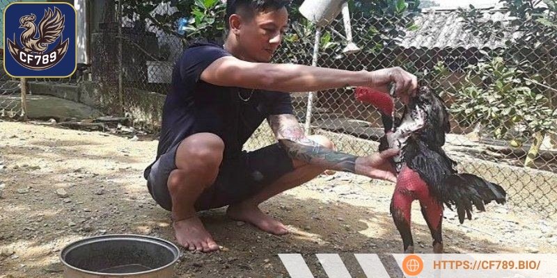 Thực hiện đầy đủ các phương pháp phòng ngừa cần thiết