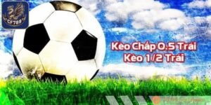 Người mới cần nắm được cách đọc kèo chấp 1/2