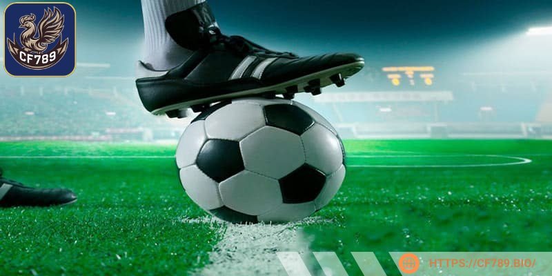 Cược chấp 0.5 là một loại hình đơn giản và rất dễ tiếp cận với mọi người