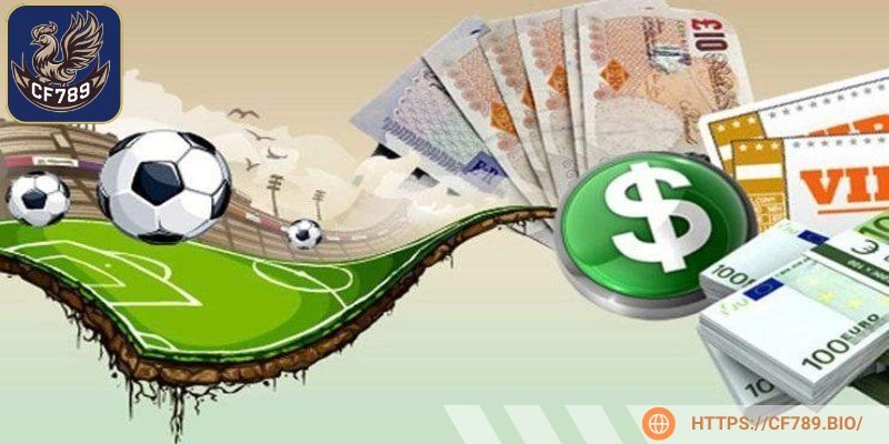 Bạn nên ưu tiên đặt cược tại những giải đấu quen thuộc