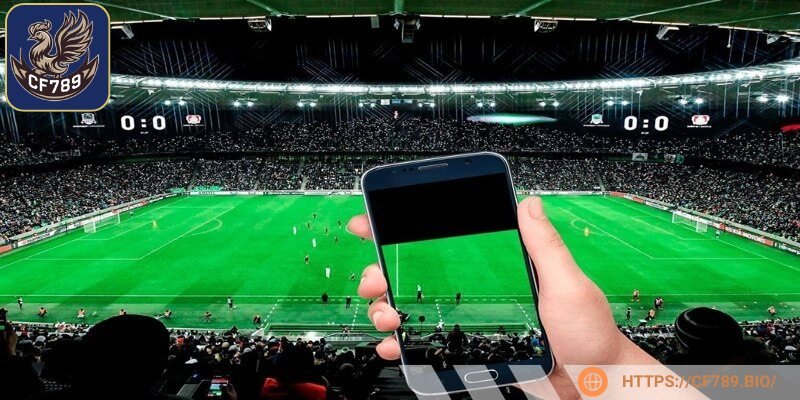 Kèo chấp 1/2 có tỷ lệ ăn cao ngất ngưỡng