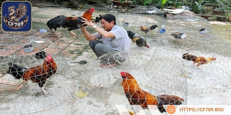 Tạo môi trường sống rộng rãi giúp vận động, rèn luyện