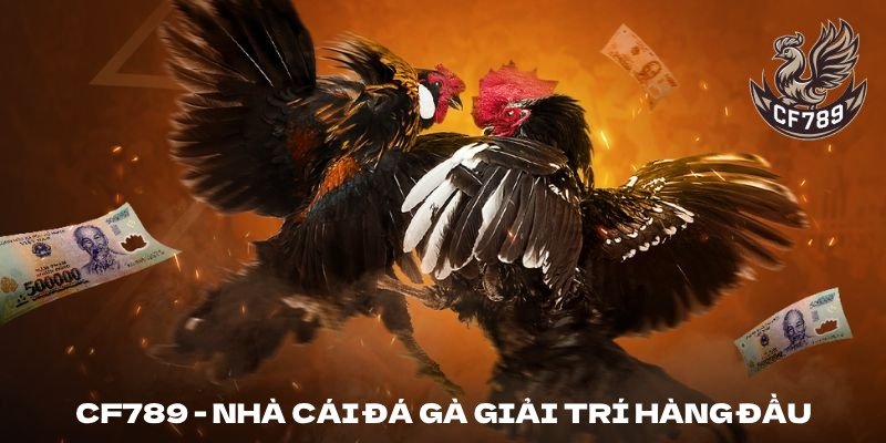 CF789 - Nhà cái giải trí hàng đầu châu Á hiện nay
