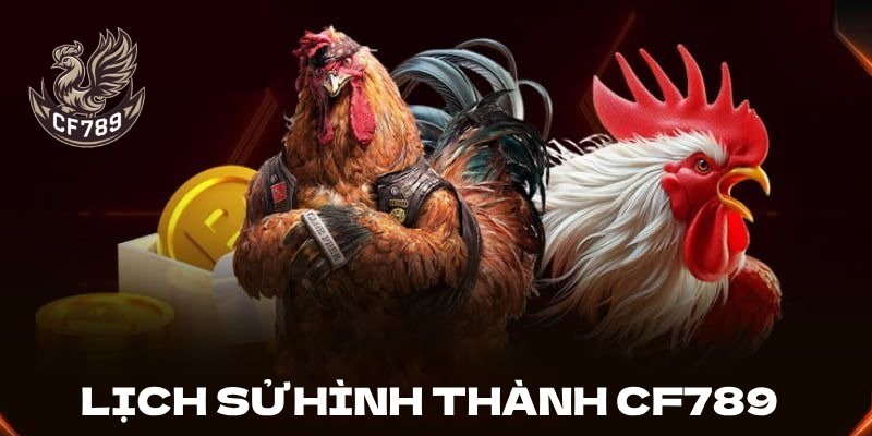 Khái quát về nhà cái và lịch sử hình thành