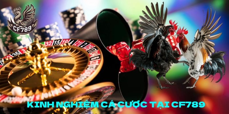 Kinh nghiệm xương máu của cao thủ khi cá cược