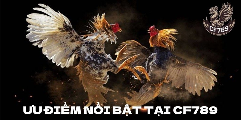 Ưu điểm nổi bật đến từ cơ chế vận hành chuyên nghiệp