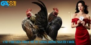 Câu chuyện thực tế từ cộng đồng người chơi